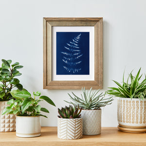 Blue cyanotype art print on the wall in a wooden frame with five pot plants on a shelf 