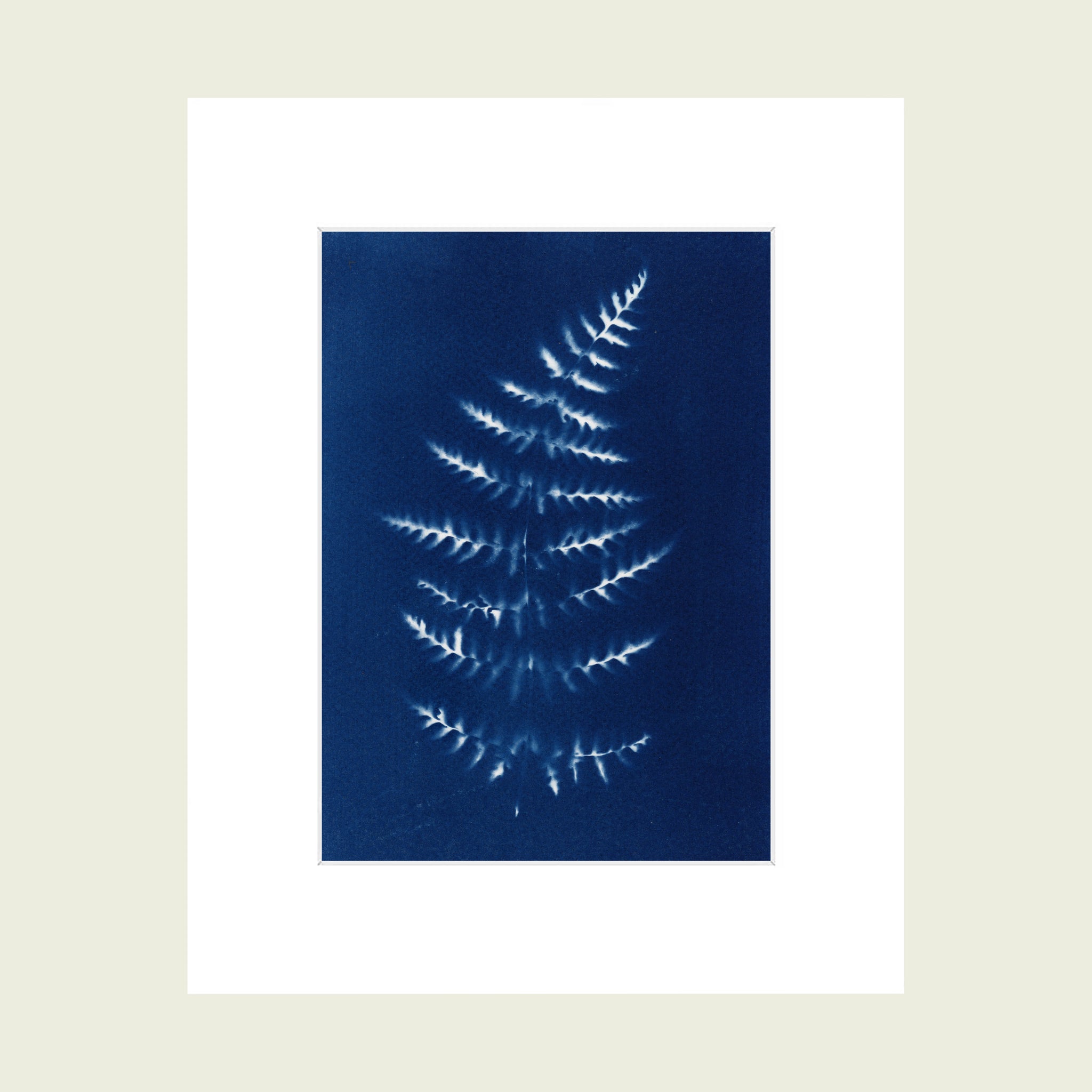 Hand printed blue cyanotype art on watercolour paper in a white mount