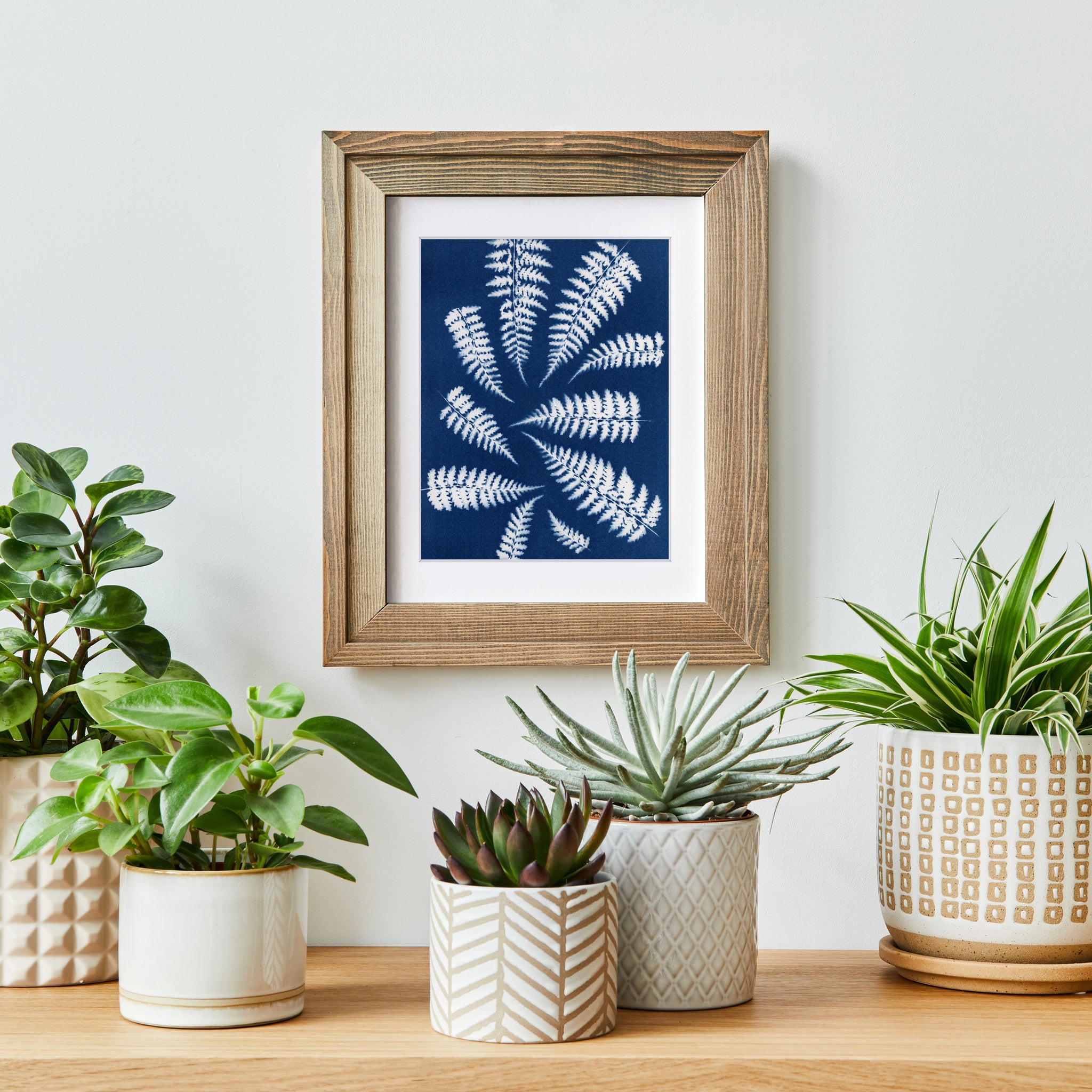 Blue fern cyanotype art print in a frame with houseplants, cactus