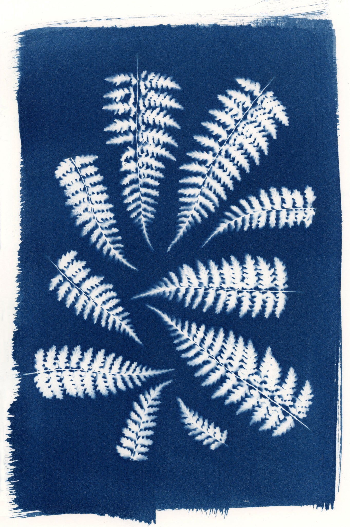Blue fern cyanotype sun print, original art, handmade in Canada
